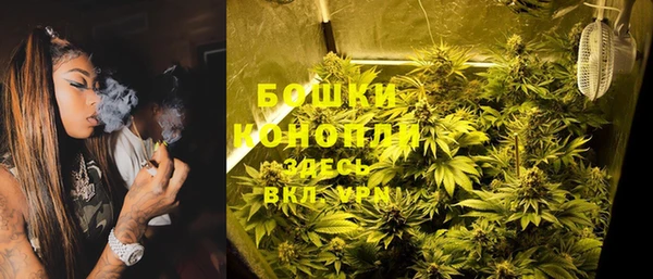гашик Магас