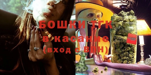 гашик Магас