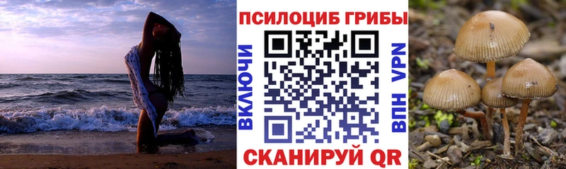 Купить где  Дзержинск  Псилоцибиновые грибы прущие грибы 