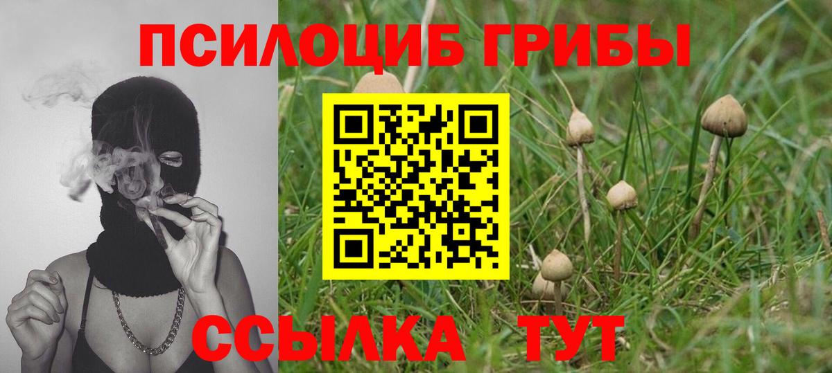 Псилоцибиновые грибы мухоморы  Дзержинск 