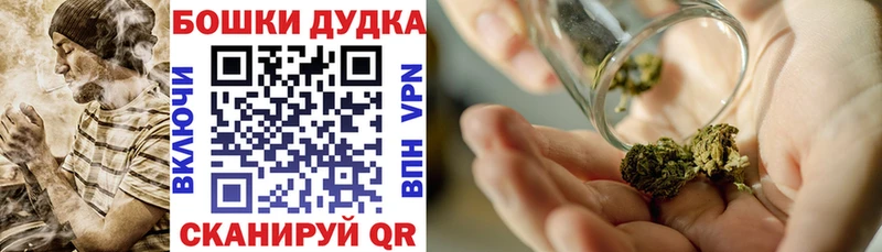 МАРИХУАНА планчик  Купить где  Дзержинск 